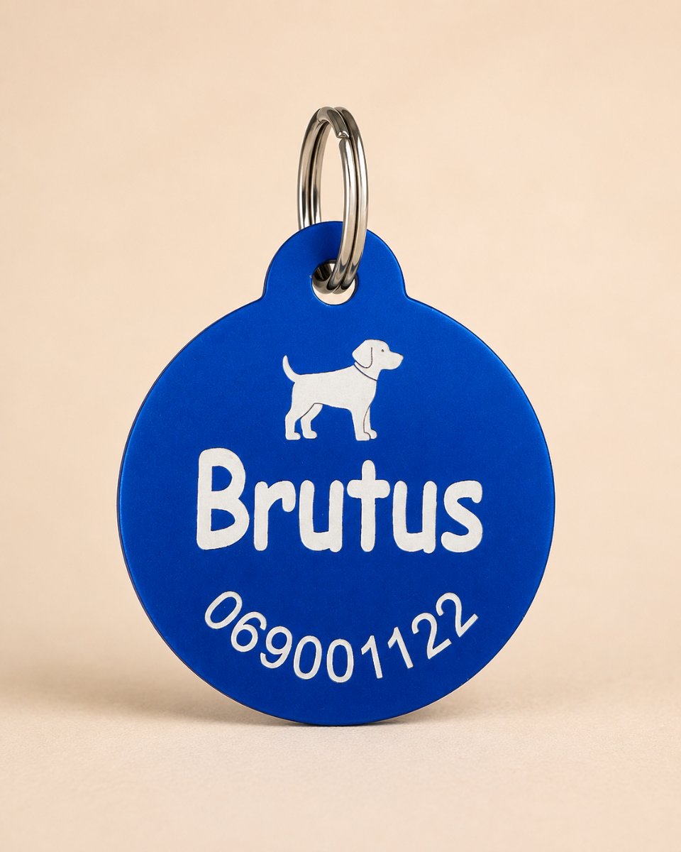 Круглый ярко-синий адресник с лазерной гравировкой имени Brutus, дизайна собаки и номера телефона