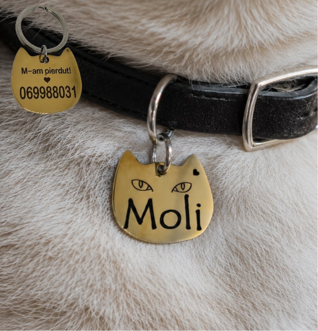 Medalion Personalizat pentru Pisică (Inox)