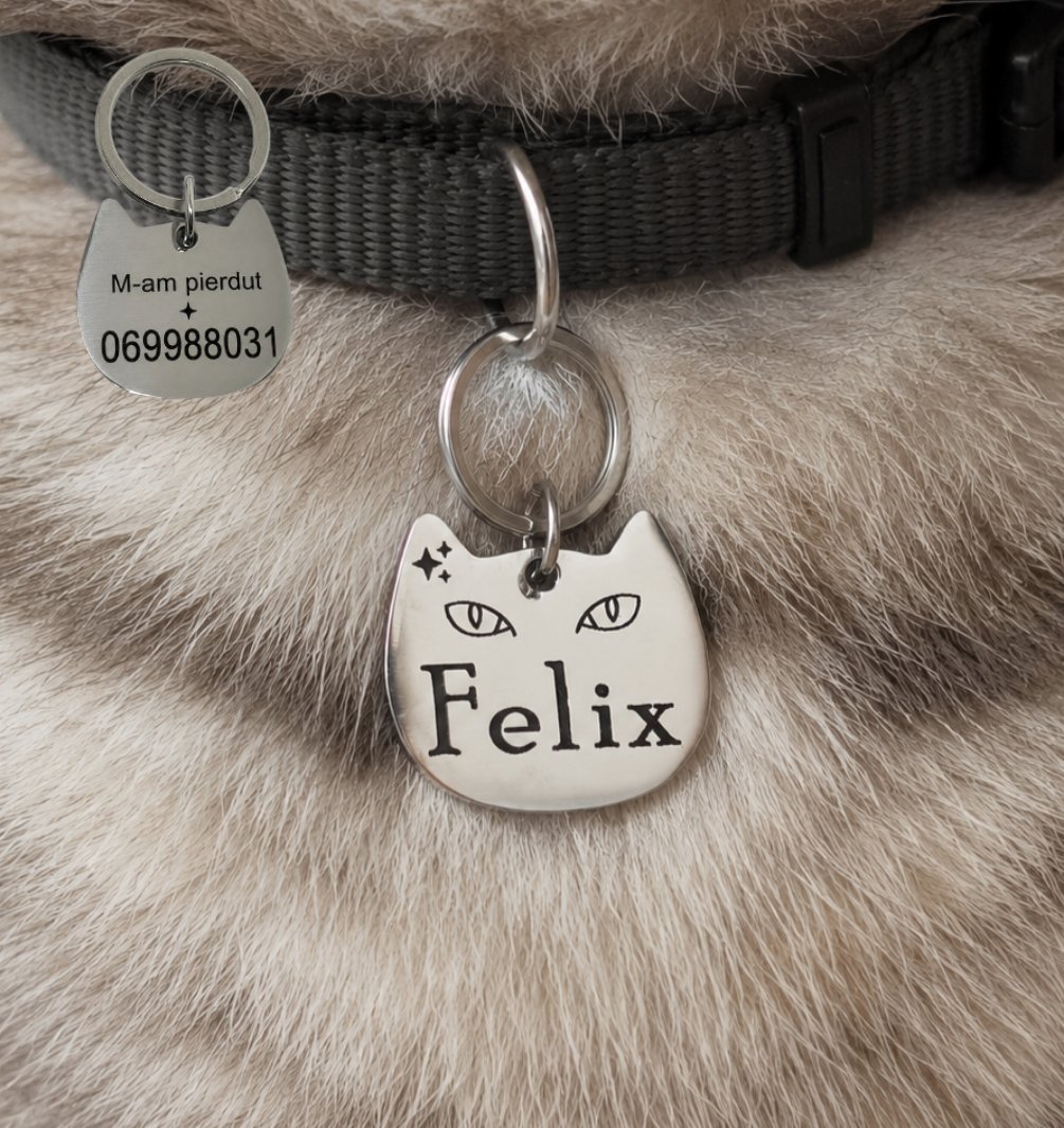 Medalion Personalizat pentru Pisică (Inox)